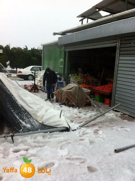 iceman lud 1213 (5).jpg